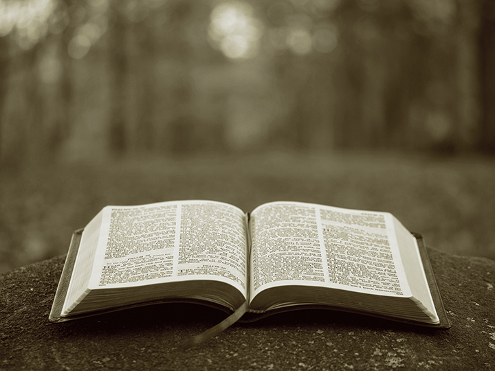 The Word of God