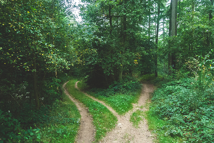 Two Paths