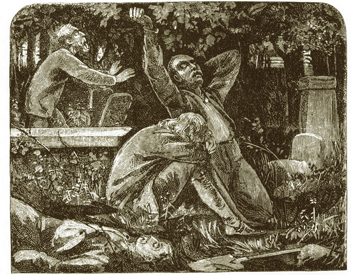 View from Mount Caution